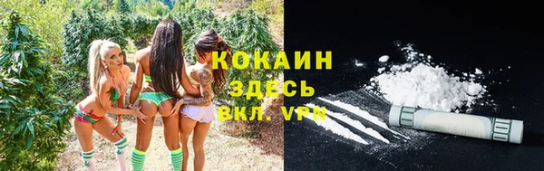 Альфа ПВП Дмитриев