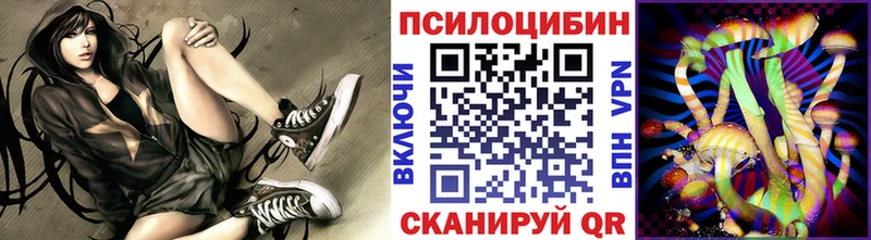 Псилоцибиновые грибы прущие грибы  Отрадная 